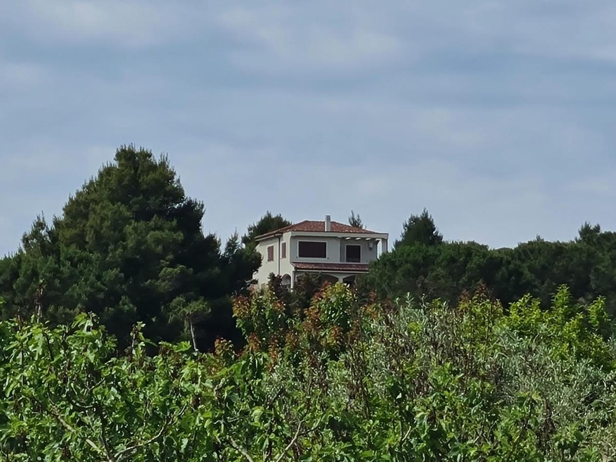 Alghero - House With Panoramic View Immersed In Full Nature Exterior photo